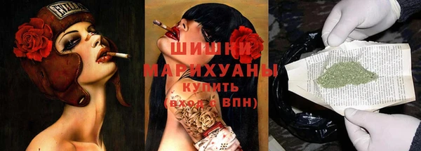 шишки Новозыбков