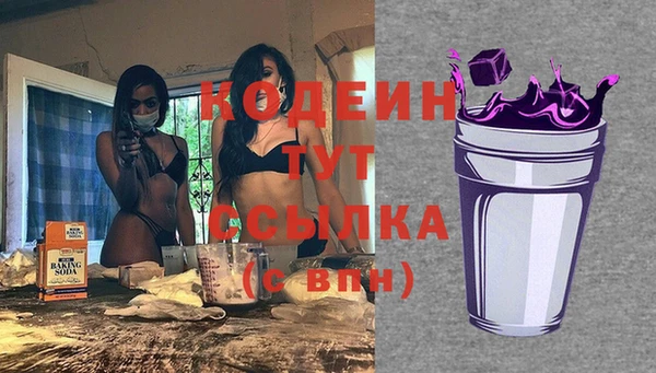 шишки Новозыбков