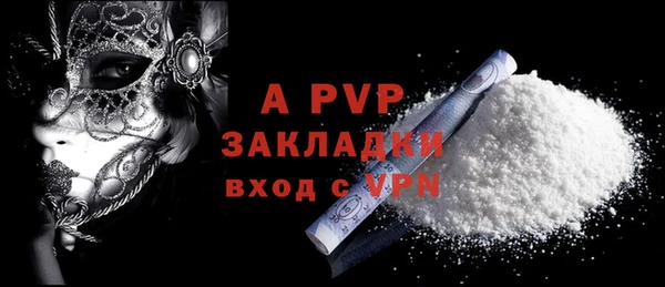 шишки Новозыбков
