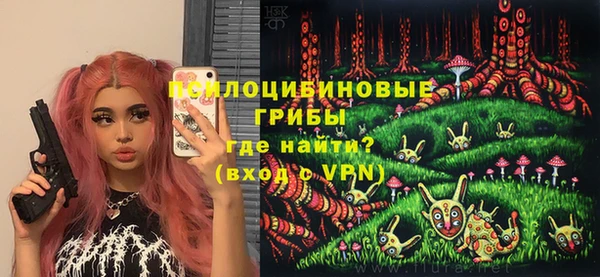 гидропоника Новодвинск