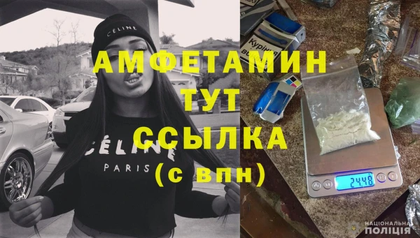 шишки Новозыбков