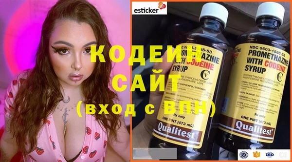 шишки Новозыбков