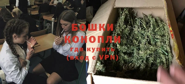 шишки Новозыбков