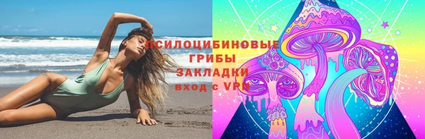 соль ск Новокубанск