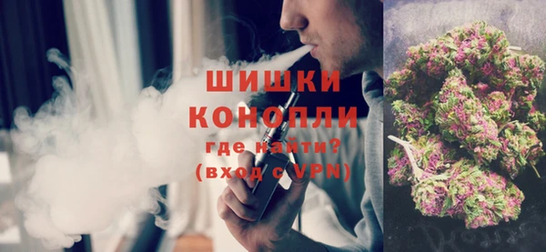 шишки Новозыбков