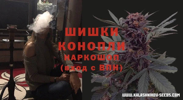 шишки Новозыбков