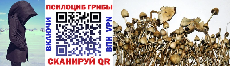 магазин продажи   Татарск  MEGA сайт  Галлюциногенные грибы Psilocybine cubensis 