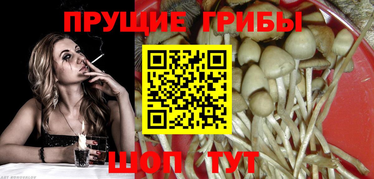 Псилоцибиновые грибы GOLDEN TEACHER Татарск